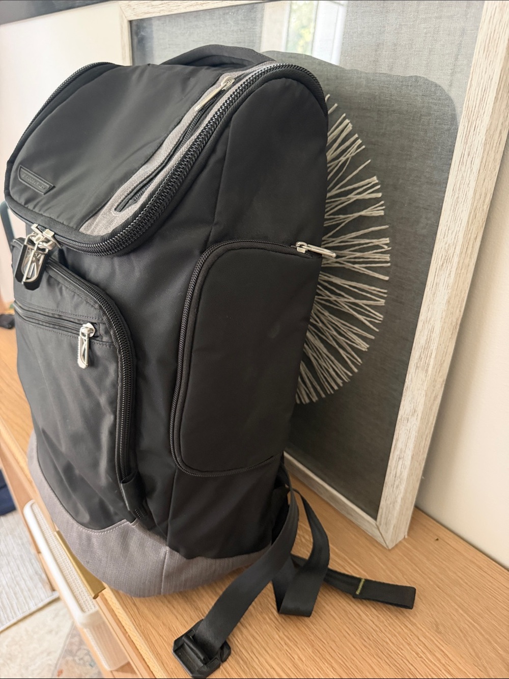 Briggs & Riley BRX Excursion Backpack - Picture 4 of 10